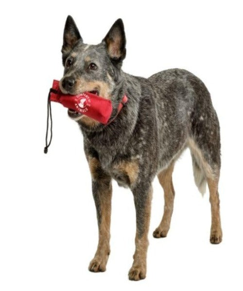 Company of Animals Canvas Training Dummy for Dogs The Pet & Tack Shop