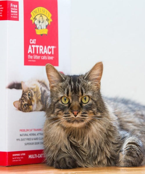 Dr Elsey's Cat Attract Training Cat Litter The Pet & Tack Shop