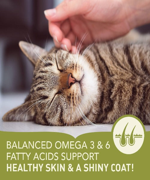 Products – The Pet & Tack Shop