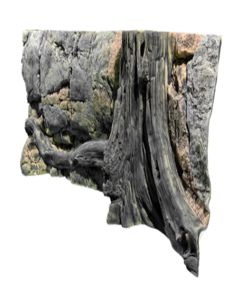 Back to Nature Amazonas 3D Type 1 Aquarium Background