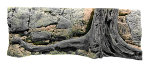 Back to Nature Amazonas 3D Type 1 Aquarium Background