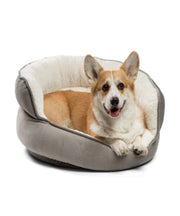 Best Friends by Sheri Throne Ilan Dog & Cat Bed