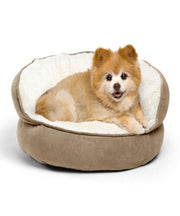 Best Friends by Sheri Throne Ilan Dog & Cat Bed