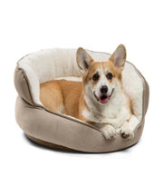 Best Friends by Sheri Throne Ilan Dog & Cat Bed