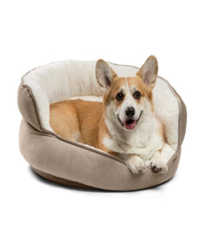 Best Friends by Sheri Throne Ilan Dog & Cat Bed