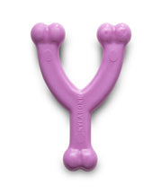 Nylabone Puppy Wishbone Chicken Dog Toy - The Pet & Tack Shop