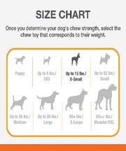 Nylabone Puppy Wishbone Chicken Dog Toy - The Pet & Tack Shop