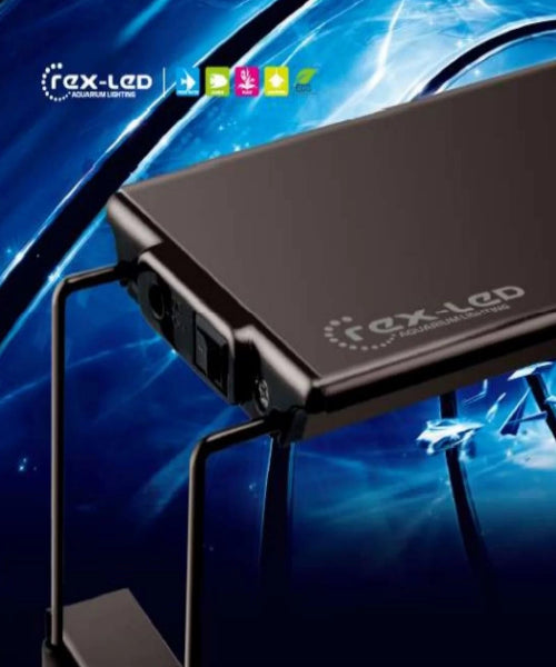 Dymax Rex 30 LED Pink/White Aquarium Lighting