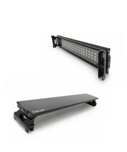 Dymax Rex 30 LED Pink/White Aquarium Lighting