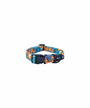 Rogz Fusion Classic Dog Collar