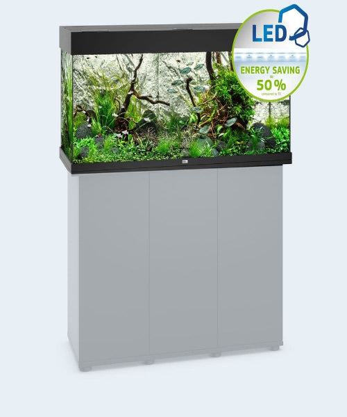Juwel Rio 240 LED Tank & Cabinet Aquarium 240L