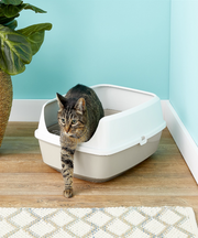 Moderna Maryloo Litter Tray with Rim