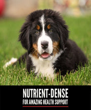 Orijen Large Puppy Food - The Pet & Tack Shop