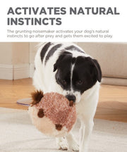 Outward Hound Jumbros Guinea Pig Dog Toy