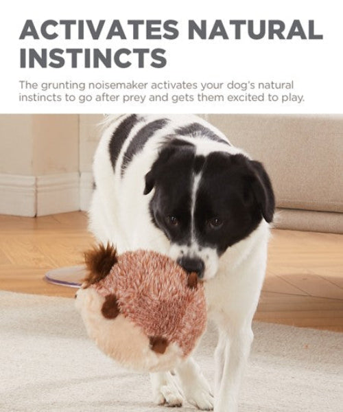 Outward Hound Jumbros Guinea Pig Dog Toy