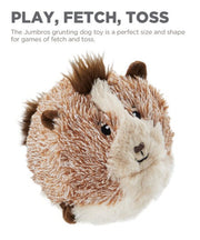 Outward Hound Jumbros Guinea Pig Dog Toy