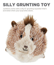 Outward Hound Jumbros Guinea Pig Dog Toy