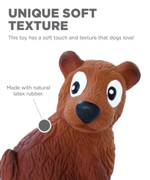 Outward Hound Tootiez Dog Toy