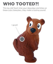 Outward Hound Tootiez Dog Toy