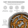 Outward Hound Fun Feeder Maze Grey Slow Feeder for Dogs