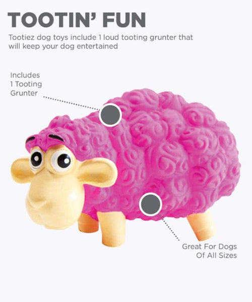 Outward Hound Tootiez Dog Toy