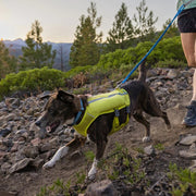 Ruffwear Trail Runner™ Leash for Dogs