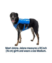 Ruffwear Trail Runner™ Dog Vest