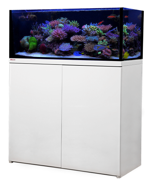 Reef Octopus Lux Classic 90 Tank for Aquariums