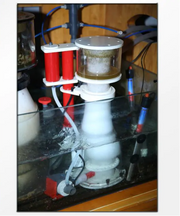 Reef Octopus Prime 150-INT Protein Skimmer for Aquariums