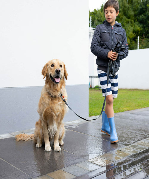 Rogz Amphibian Classic Chain Collar For Dogs