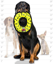 Tuffy Ultimate Ring Dog Toy