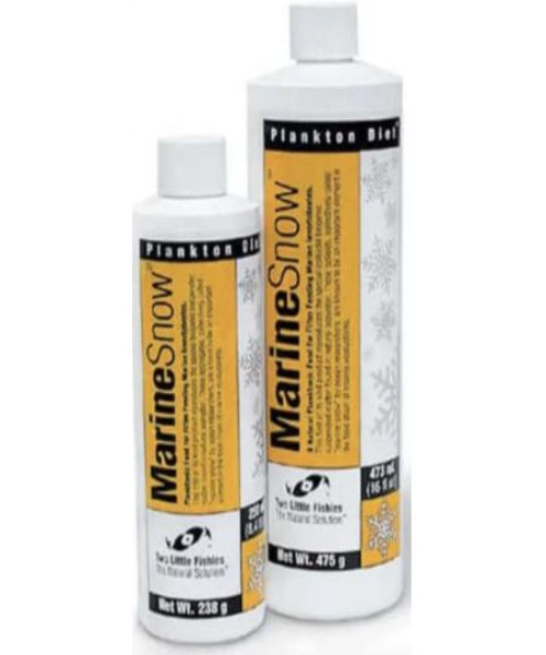 Two Little Fishies Marine Snow Invertebrates Food