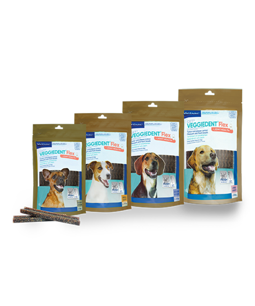 Cet veggiedent chews clearance regular