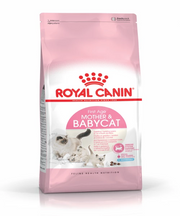 Royal Canin Mother And Babycat 1st Stage Kitten Food - Pet Mall