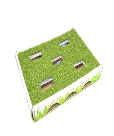 Petstages Grass Patch Hunting Box Cat Toy - Pet Mall