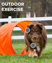 Outward Hound Zip & Zoom Outdoor Dog Agility Kit - Pet Mall
