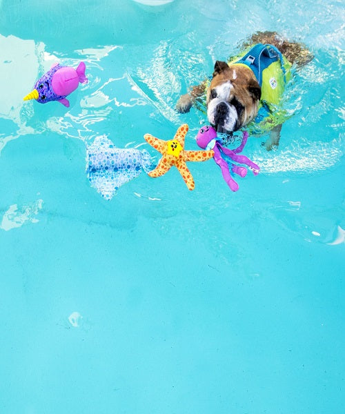 Outward Hound Floatiez Narwhal Dog Toy - Pet Mall