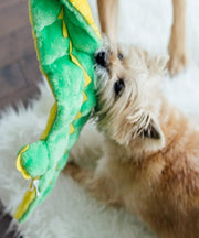 Outward Hound Squeaker Matz Gator Large 16 Squeaker Dog Toy - Pet Mall