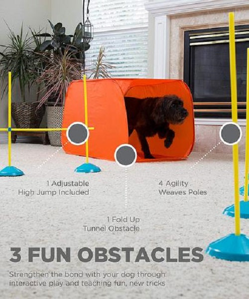 Outward Hound Zip & Zoom Indoor Agility Kit - Pet Mall
