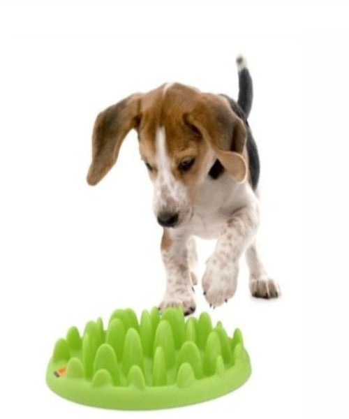 Company of Animals Green Slow Feeder for Dogs