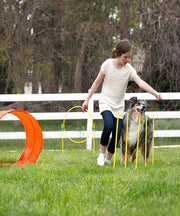 Outward Hound Zip & Zoom Outdoor Dog Agility Kit - Pet Mall