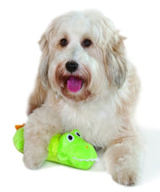 Petstages Big Squeak Gator Dog Toy - Pet Mall