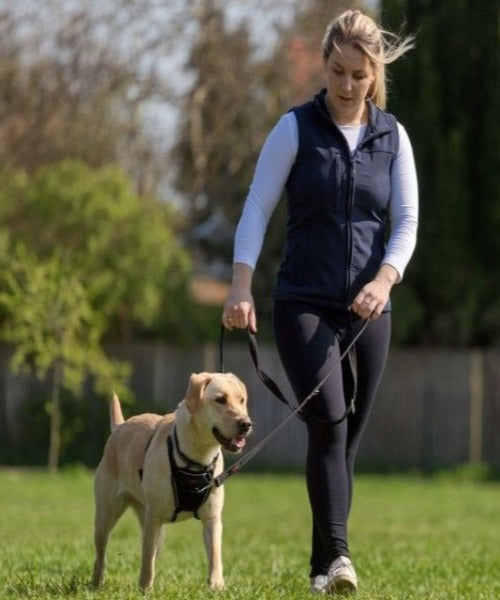 Halti Training Dog Lead