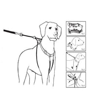 Mikki Anti-Pull Dog Harness