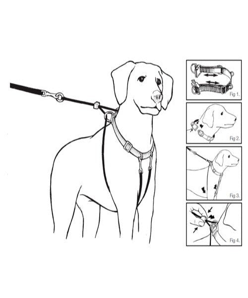 Mikki Anti-Pull Dog Harness