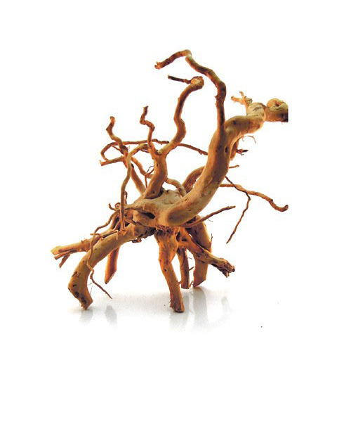 Aquarium Depot Spider Wood for Aquariums