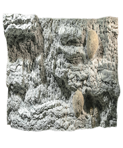 Back To Nature Reef Aquarium Background