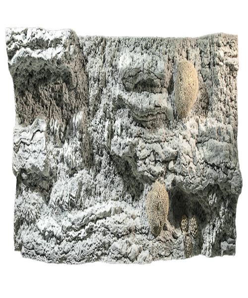 Back To Nature Reef Aquarium Background