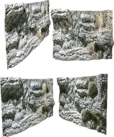 Back To Nature Reef Aquarium Background