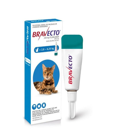 Bravecto Spot On Tick & Flea Treatment for Medium Cats 250MG (2.8-6.25KG)